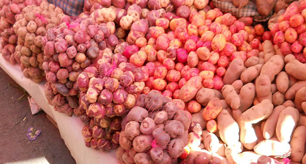 papines andinos en un mercado de bolivia